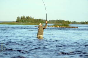 Flugfiskare